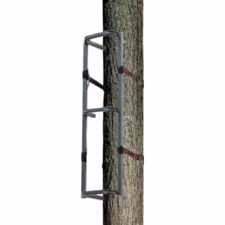 Rhino Climbing Section 31 In.