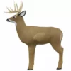 Shooter™ Targets Big Shooter Buck Archery Target